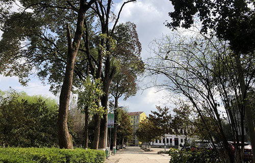 四川省儀隴縣扶輪育才職業(yè)中學(xué)校圖片
