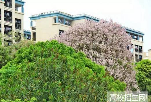 贛南衛(wèi)生健康職業(yè)學(xué)院圖片