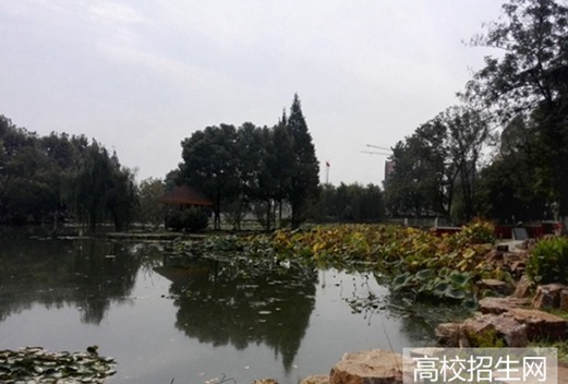 齊魯醫(yī)藥學院圖片