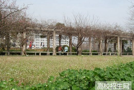 山東服裝職業(yè)學院圖片