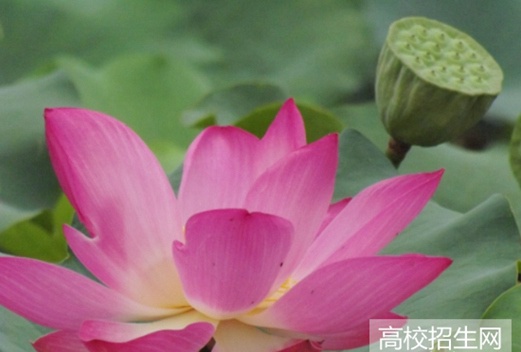 河南師范大學(xué)圖片