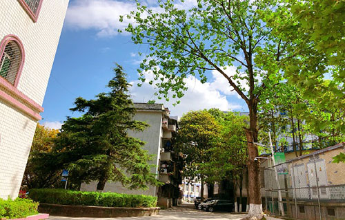 四川省儀隴縣扶輪育才職業(yè)中學(xué)校圖片