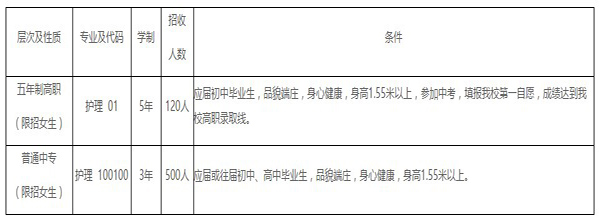 招生計(jì)劃 招生計(jì)劃