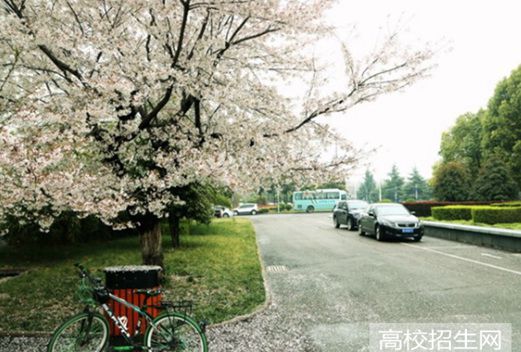 洛陽理工學(xué)院圖片