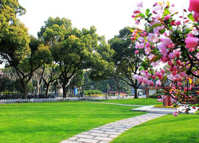 攀枝花攀西職業(yè)技術(shù)學(xué)院圖片
