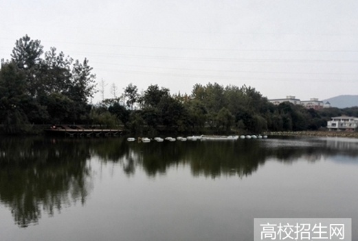 齊魯醫(yī)藥學院圖片