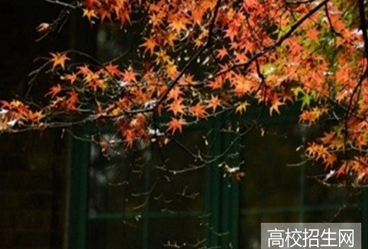 山東醫(yī)學(xué)高等?？茖W(xué)校圖片