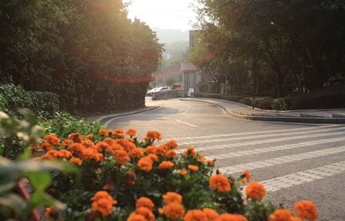 江油市職業(yè)中學(xué)校圖片