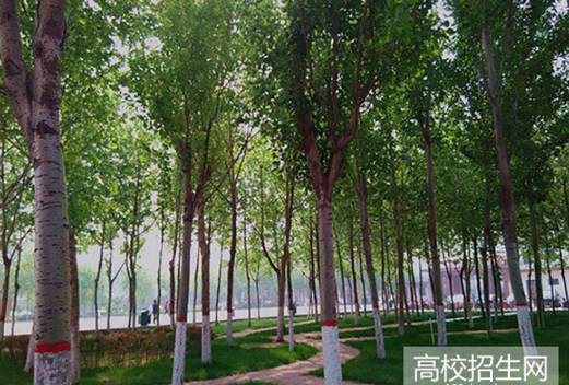 廣安衛(wèi)生學(xué)校圖片