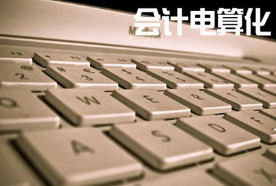 會(huì)計(jì)電算化 會(huì)計(jì)電算化