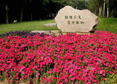 自貢倍樂職業(yè)學(xué)校圖片