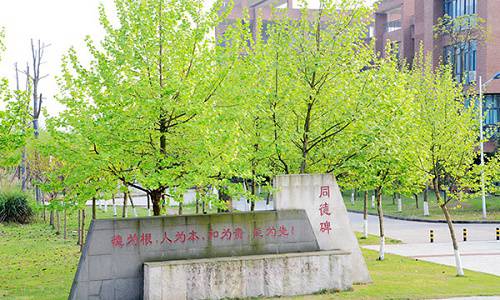 重慶機(jī)電職業(yè)技術(shù)學(xué)院開設(shè)有哪些專業(yè) 重慶機(jī)電職業(yè)技術(shù)學(xué)院開設(shè)有哪些專業(yè)