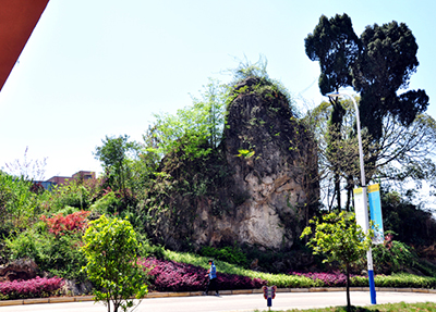 學(xué)校風(fēng)景.jpg 學(xué)校風(fēng)景.jpg