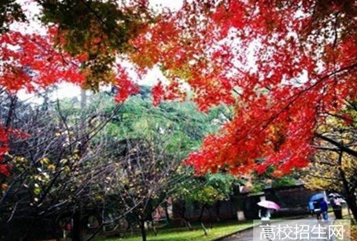 山東醫(yī)學(xué)高等?？茖W(xué)校圖片