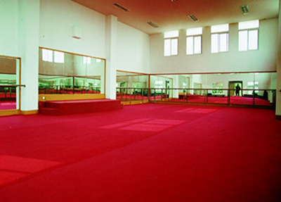 體操運(yùn)動(dòng)場(chǎng).jpg 體操運(yùn)動(dòng)場(chǎng).jpg