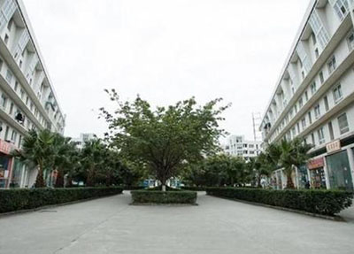 四川華達衛(wèi)校圖片