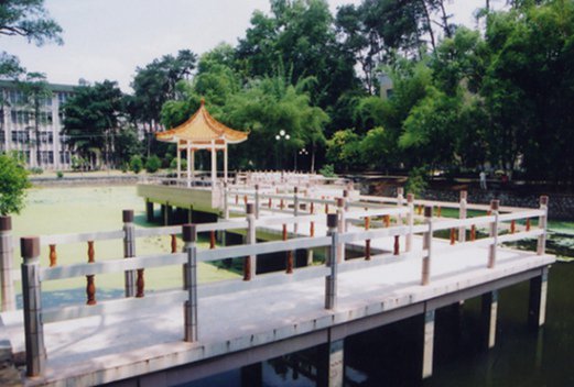 河池市衛(wèi)生學(xué)校圖片