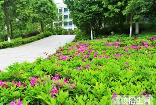 贛南衛(wèi)生健康職業(yè)學(xué)院圖片