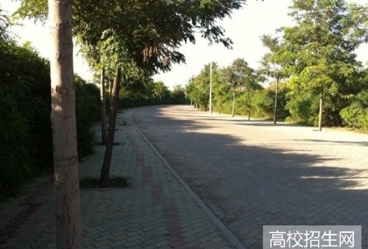 青島飛洋職業(yè)技術(shù)學(xué)院圖片