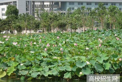 萊蕪職業(yè)技術(shù)學院圖片
