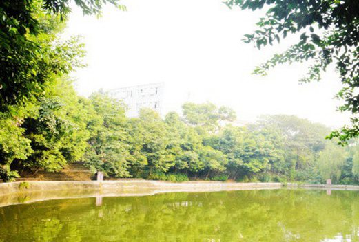 成都華大醫(yī)藥衛(wèi)生學(xué)校圖片