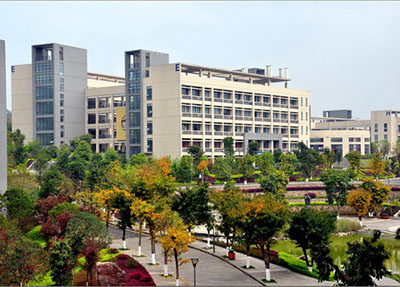 林蔭小道.jpg 林蔭小道.jpg