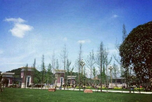 四川護(hù)理職業(yè)學(xué)院(原四川省衛(wèi)生學(xué)校)圖片