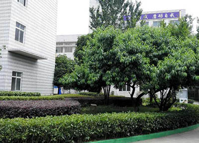 寧南職業(yè)技術(shù)學(xué)校圖片