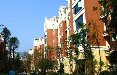 四川省鄰水縣興仁職業(yè)中學圖片