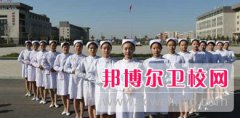 成都2024年衛(wèi)校是干什么的