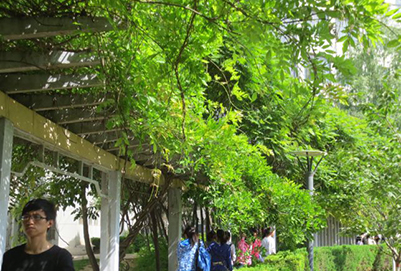  延安大學醫(yī)學院護理學專業(yè)好不好