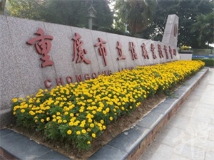 重慶沙坪壩公辦中專學(xué)校排名'