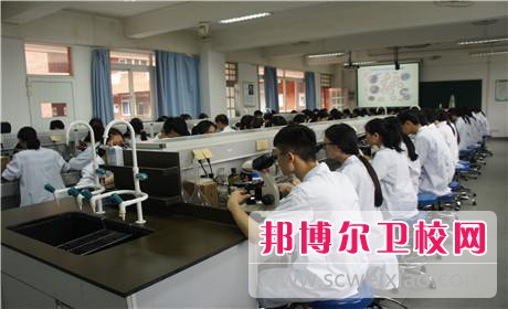 成都2020年衛(wèi)校在哪兒