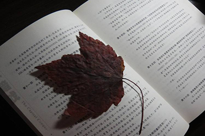 四川農(nóng)業(yè)大學(xué)成人高等教育人壽教學(xué)站2020年春季招生分?jǐn)?shù)