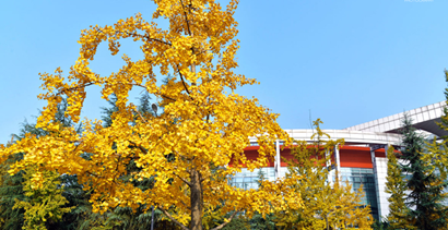 四川大學(xué)醫(yī)學(xué)院