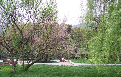 達(dá)州職業(yè)技術(shù)學(xué)院學(xué)校環(huán)境