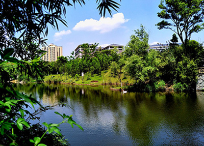 學校景色