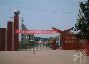 四川宜賓公辦中專學(xué)校排名'
