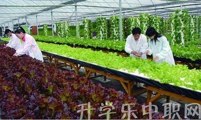 尋甸縣職業(yè)高級(jí)中學(xué)