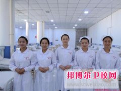 成都2024年公辦衛(wèi)校有哪些