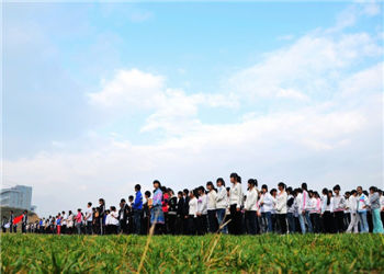 云南三鑫技術(shù)學(xué)院2020年五年制?？普猩鲁? /></p><p style=
