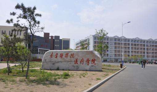 錦州醫(yī)科大學(xué)醫(yī)療學(xué)院2020年有哪些專(zhuān)業(yè)