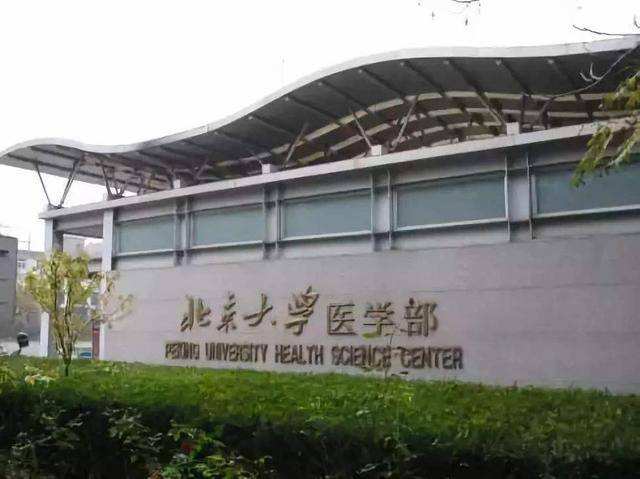 北京大學(xué)醫(yī)學(xué)部2020年有哪些專業(yè)