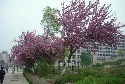  銅川職業(yè)技術(shù)學(xué)院機(jī)械制造與自動化專業(yè)好不好