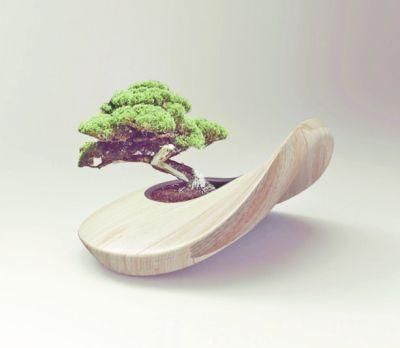 昆明市推拿職業(yè)學校，工藝美術