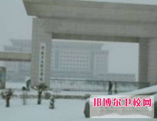 河南2020年的成人衛(wèi)校需要什么條件