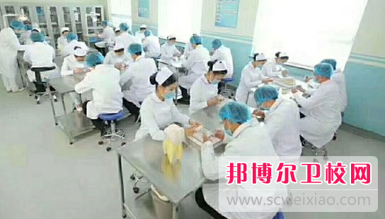 湛江2020年哪有衛(wèi)校