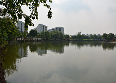 校園環(huán)境