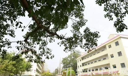 勐臘縣職業(yè)高級中學