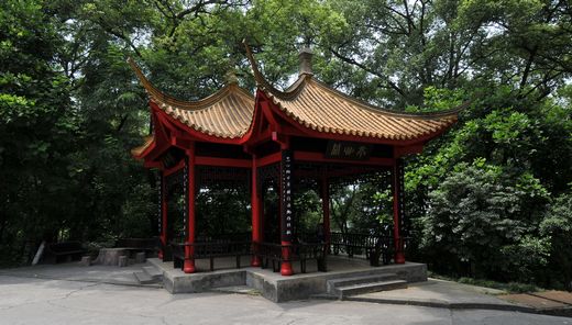 瀘州醫(yī)學(xué)院2020年報(bào)名條件、招生對(duì)象
